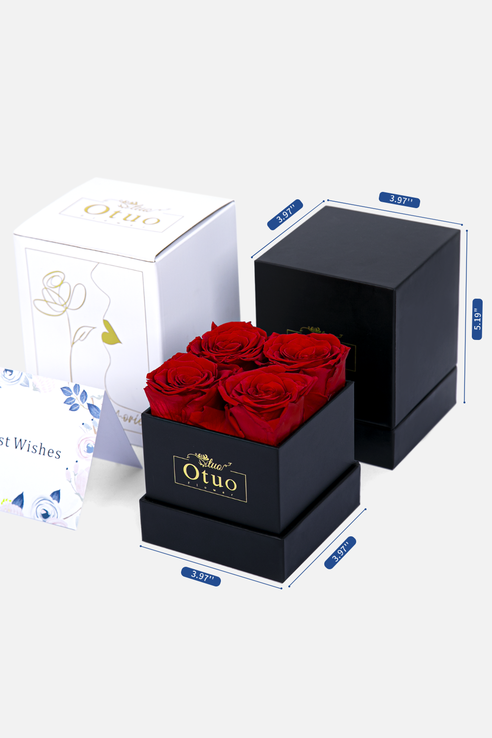 Small Eternal Rose Box