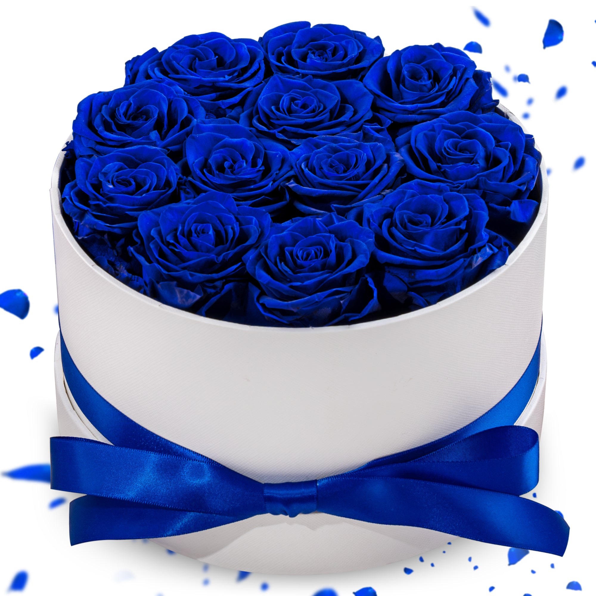 Hover Flower Preserved Roses in a Box