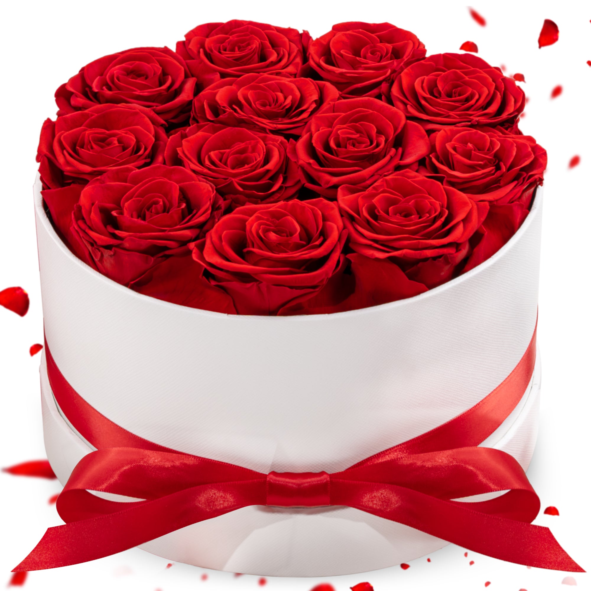 Hover Flower Preserved Roses in a Box