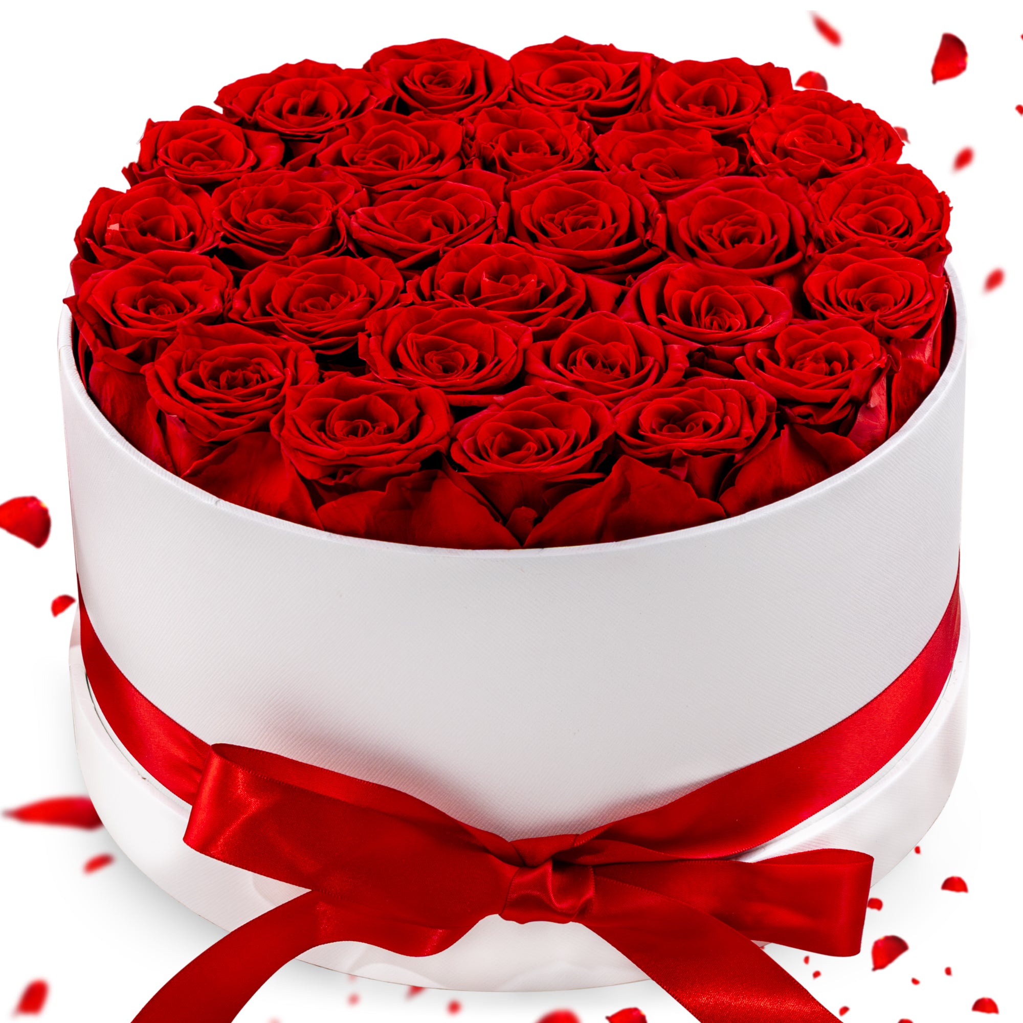 Hover Flower Preserved Roses in a Box
