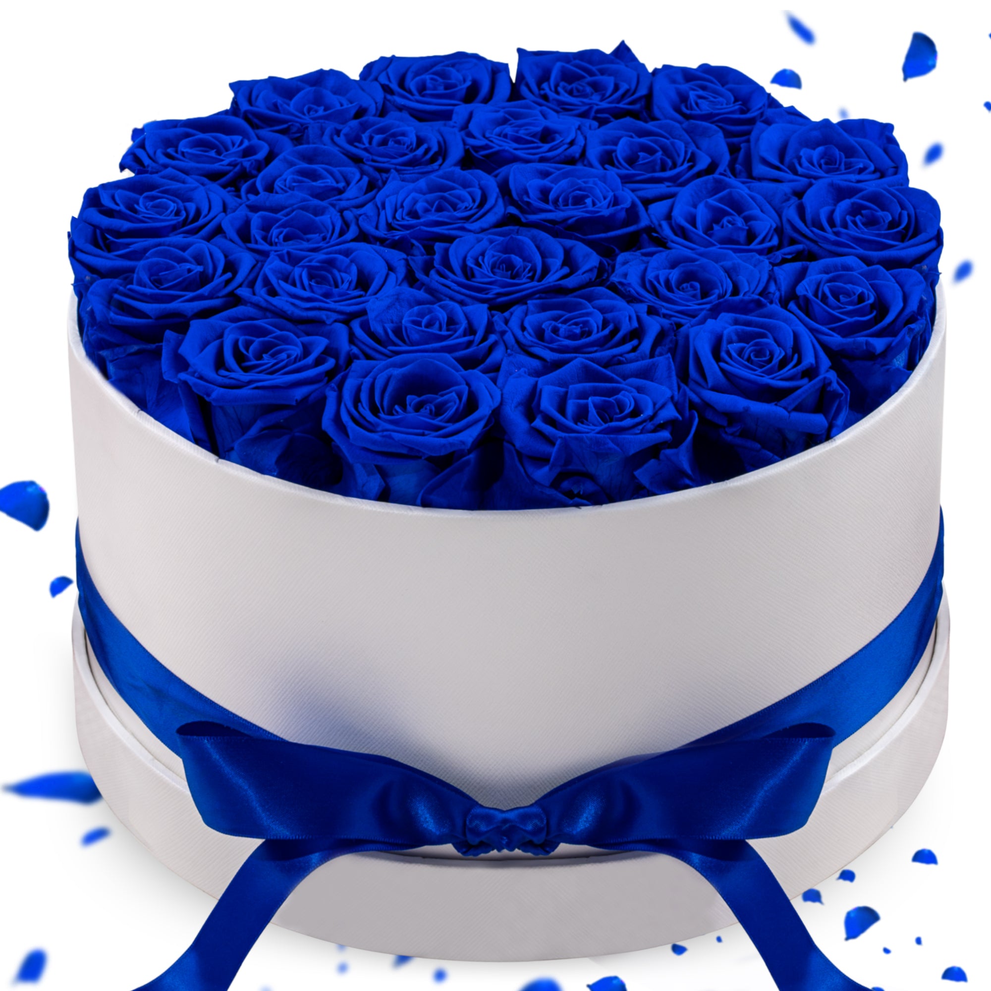 Hover Flower Preserved Roses in a Box