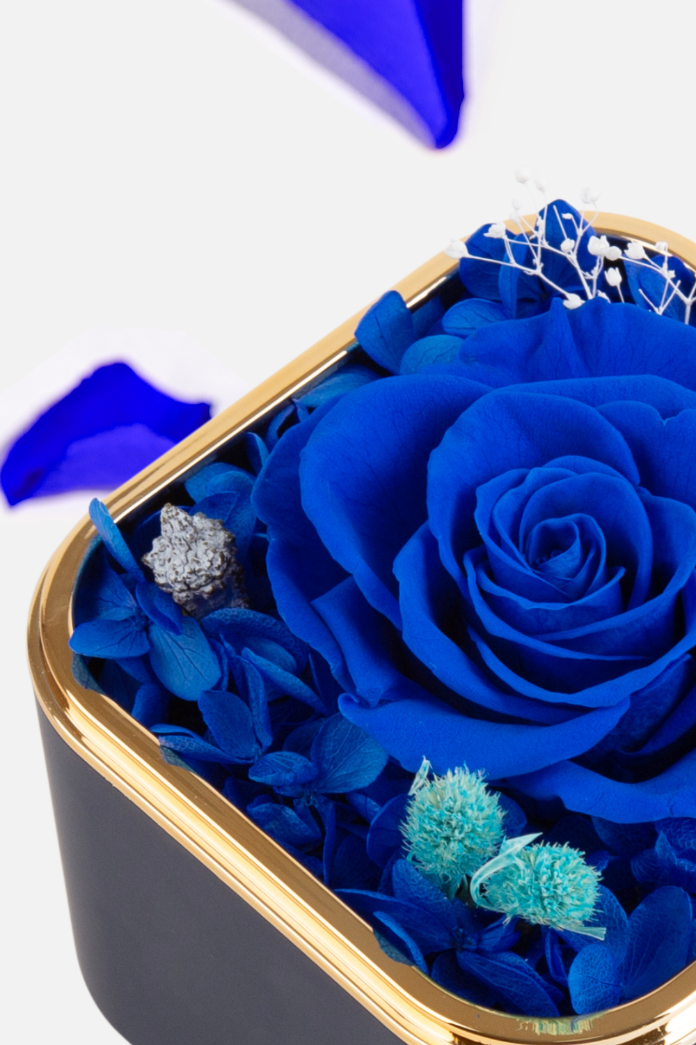 Preserved Roses Acrylic Jewerlry Box